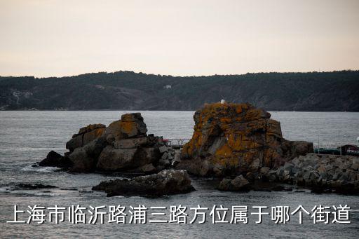 上海市浦東新區臨沂路，上海市臨沂路浦三路方位屬于哪個街道