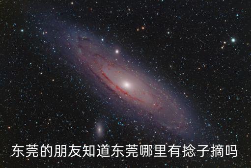 東莞的朋友知道東莞哪里有捻子摘嗎