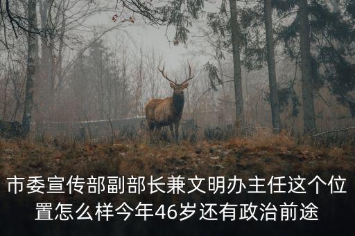 市委宣傳部副部長兼文明辦主任這個位置怎么樣今年46歲還有政治前途