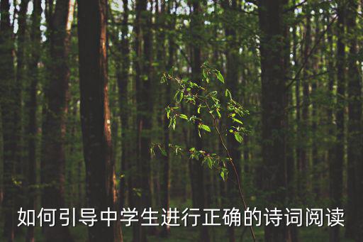 如何引導中學生進行正確的詩詞閱讀