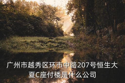 廣州市越秀區(qū)環(huán)市中路207號(hào)恒生大夏C座付樓是什么公司