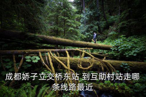 成都市嬌子公交維保基地，成都嬌子集團法人是誰