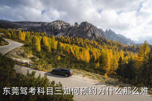 東莞駕考科目三如何預約為什么那么難