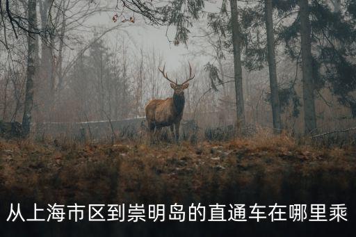 從上海市區(qū)到崇明島的直通車在哪里乘