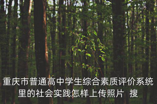 重慶市普通高中學生綜合素質評價系統里的社會實踐怎樣上傳照片  搜