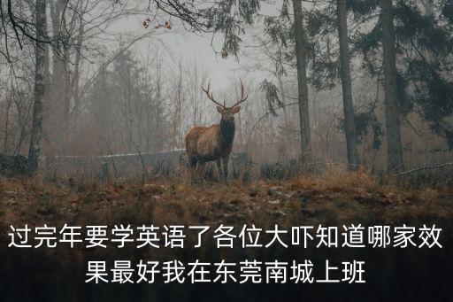過完年要學英語了各位大嚇知道哪家效果最好我在東莞南城上班