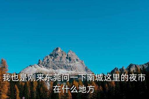 我也是剛來東莞問一下南城這里的夜市在什么地方