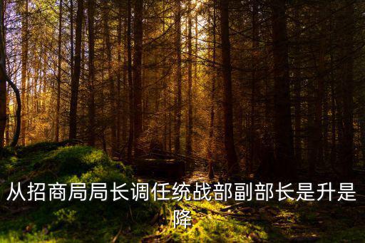 從招商局局長調任統戰部副部長是升是降