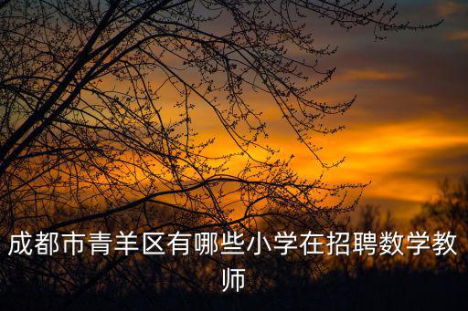 成都市青羊區(qū)有哪些小學在招聘數(shù)學教師