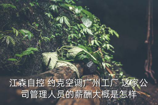 江森自控 約克空調廣州工廠 這家公司管理人員的薪酬大概是怎樣