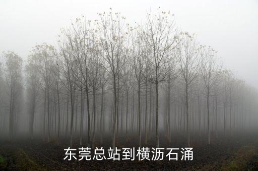 東莞回橫石水，從英德到橫石水或大鎮(zhèn)的班車最晚是多少點(diǎn)謝謝
