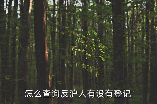 怎么查詢反滬人有沒有登記