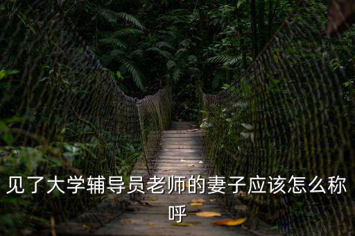 見了大學輔導員老師的妻子應該怎么稱呼