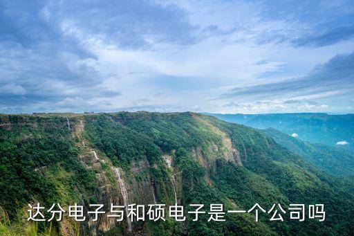達分電子與和碩電子是一個公司嗎