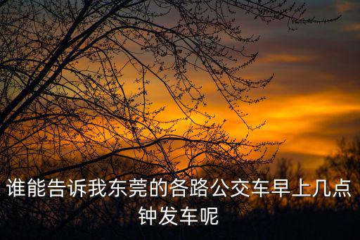 誰能告訴我東莞的各路公交車早上幾點鐘發車呢