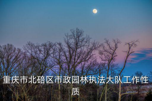 重慶市北碚區市政園林執法大隊工作性質