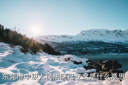 東莞市中級人民法院己立案是什么意思