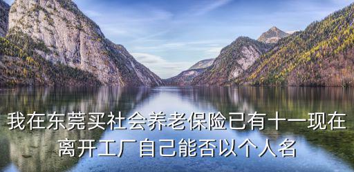 我在東莞買社會養老保險已有十一現在離開工廠自己能否以個人名