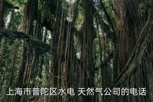 上海市普陀區水電 天然氣公司的電話
