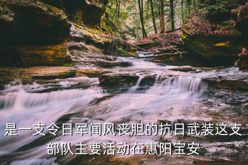 是一支令日軍聞風喪膽的抗日武裝這支部隊主要活動在惠陽寶安