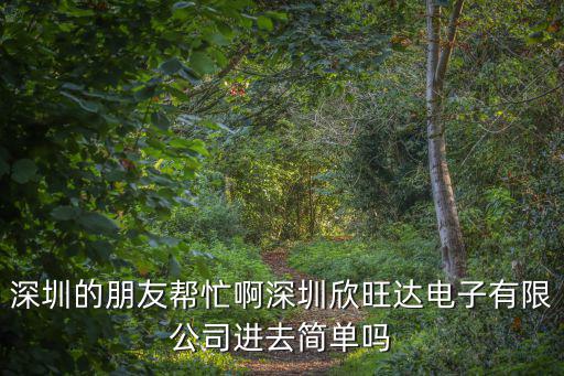 深圳的朋友幫忙啊深圳欣旺達電子有限公司進去簡單嗎