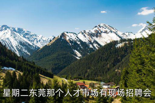 星期二東莞那個(gè)人才市場(chǎng)有現(xiàn)場(chǎng)招聘會(huì)
