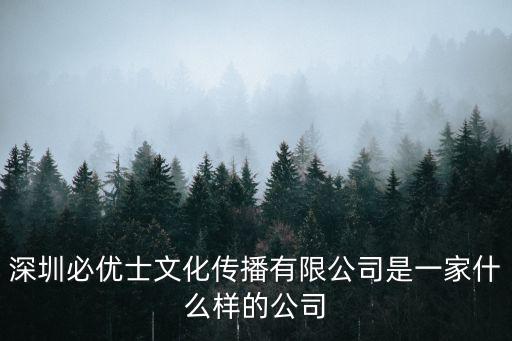 深圳必優(yōu)士文化傳播有限公司是一家什么樣的公司