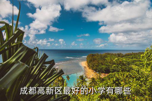 成都高新區最好的小學有哪些