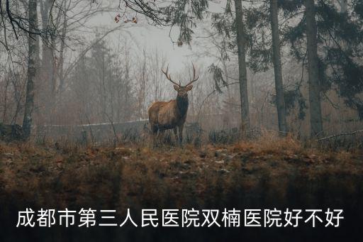 成都市第三人民醫院雙楠醫院好不好