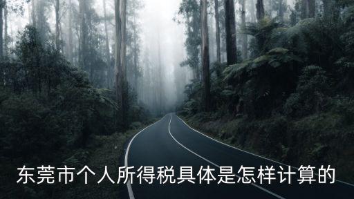 東莞市個(gè)人所得稅具體是怎樣計(jì)算的