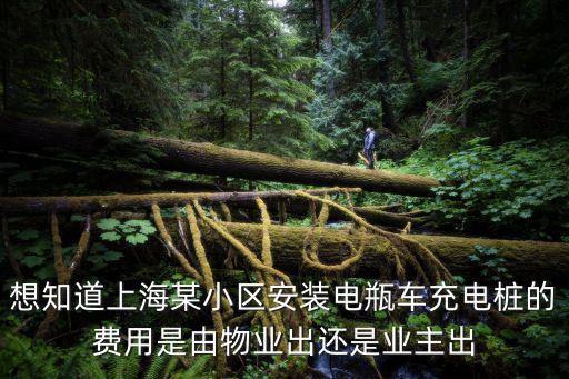 想知道上海某小區(qū)安裝電瓶車充電樁的費用是由物業(yè)出還是業(yè)主出
