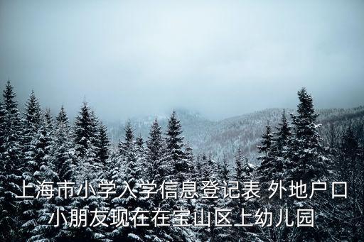 上海市小學入學信息登記表 外地戶口小朋友現在在寶山區上幼兒園