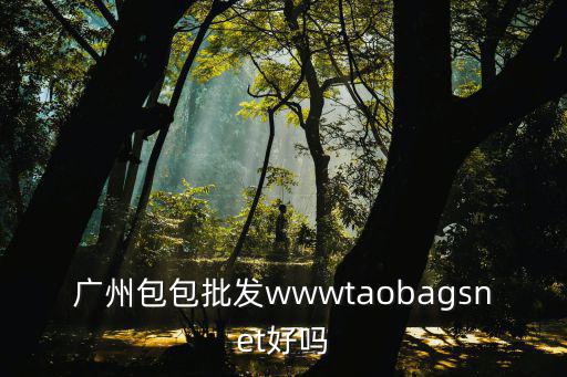 廣州包包批發wwwtaobagsnet好嗎