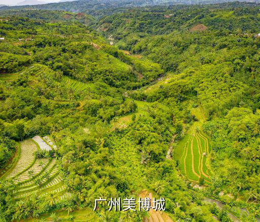 廣州美博城