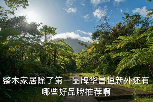 整木家居除了第一品牌華昌恒新外還有哪些好品牌推薦啊