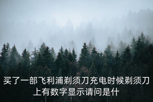 重慶市民通 飛充意思，全民飛機大戰手機充值接受短信驗證后要重進怎么輸驗證啊急 急 急