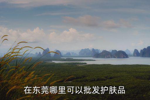 在東莞哪里可以批發(fā)護(hù)膚品