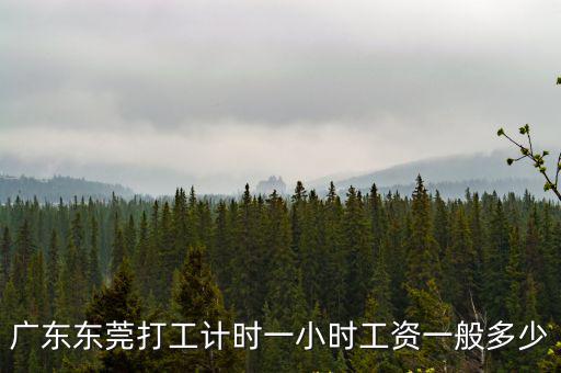廣東東莞打工計時一小時工資一般多少