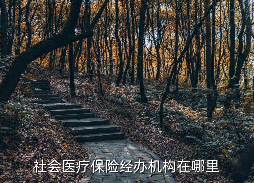 社會醫(yī)療保險(xiǎn)經(jīng)辦機(jī)構(gòu)在哪里