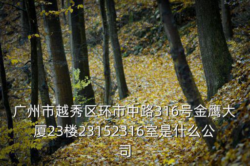 廣州市越秀區環市中路316號金鷹大廈23樓23152316室是什么公司