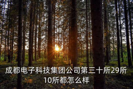 成都電子科技集團公司第三十所29所10所都怎么樣