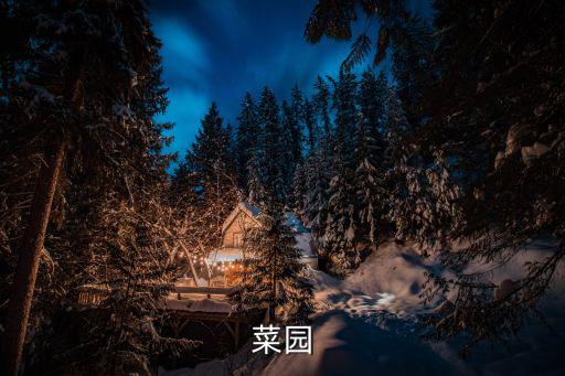 深圳菜園，深圳哪里是最大的蔬菜批發(fā)市場(chǎng)