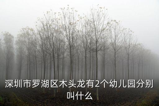 深圳市羅湖區(qū)木頭龍有2個(gè)幼兒園分別叫什么