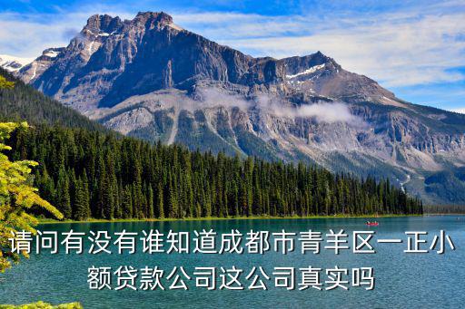 請(qǐng)問有沒有誰知道成都市青羊區(qū)一正小額貸款公司這公司真實(shí)嗎