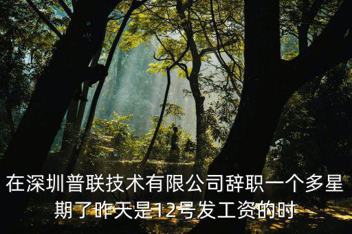 在深圳普聯技術有限公司辭職一個多星期了昨天是12號發工資的時