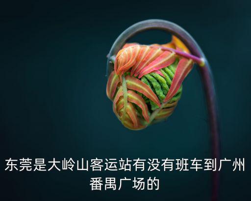 東莞火車站站前廣場，火車站的站前廣場是干什么的