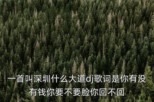 一首叫深圳什么大道dj歌詞是你有沒有錢你要不要臉你回不回