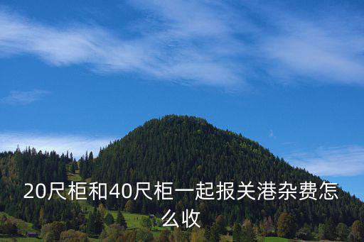 20尺柜和40尺柜一起報(bào)關(guān)港雜費(fèi)怎么收