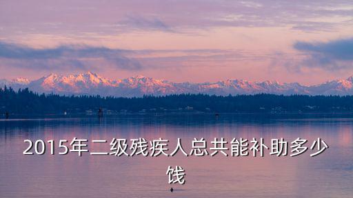 2015年二級殘疾人總共能補助多少餞