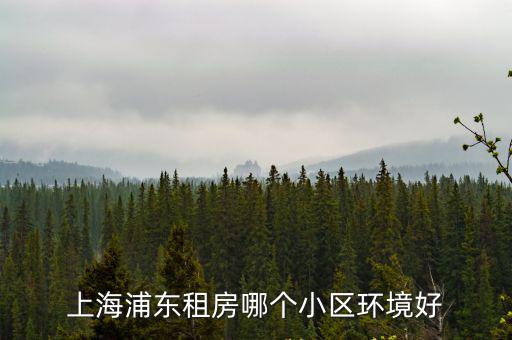 上海浦東租房哪個小區(qū)環(huán)境好